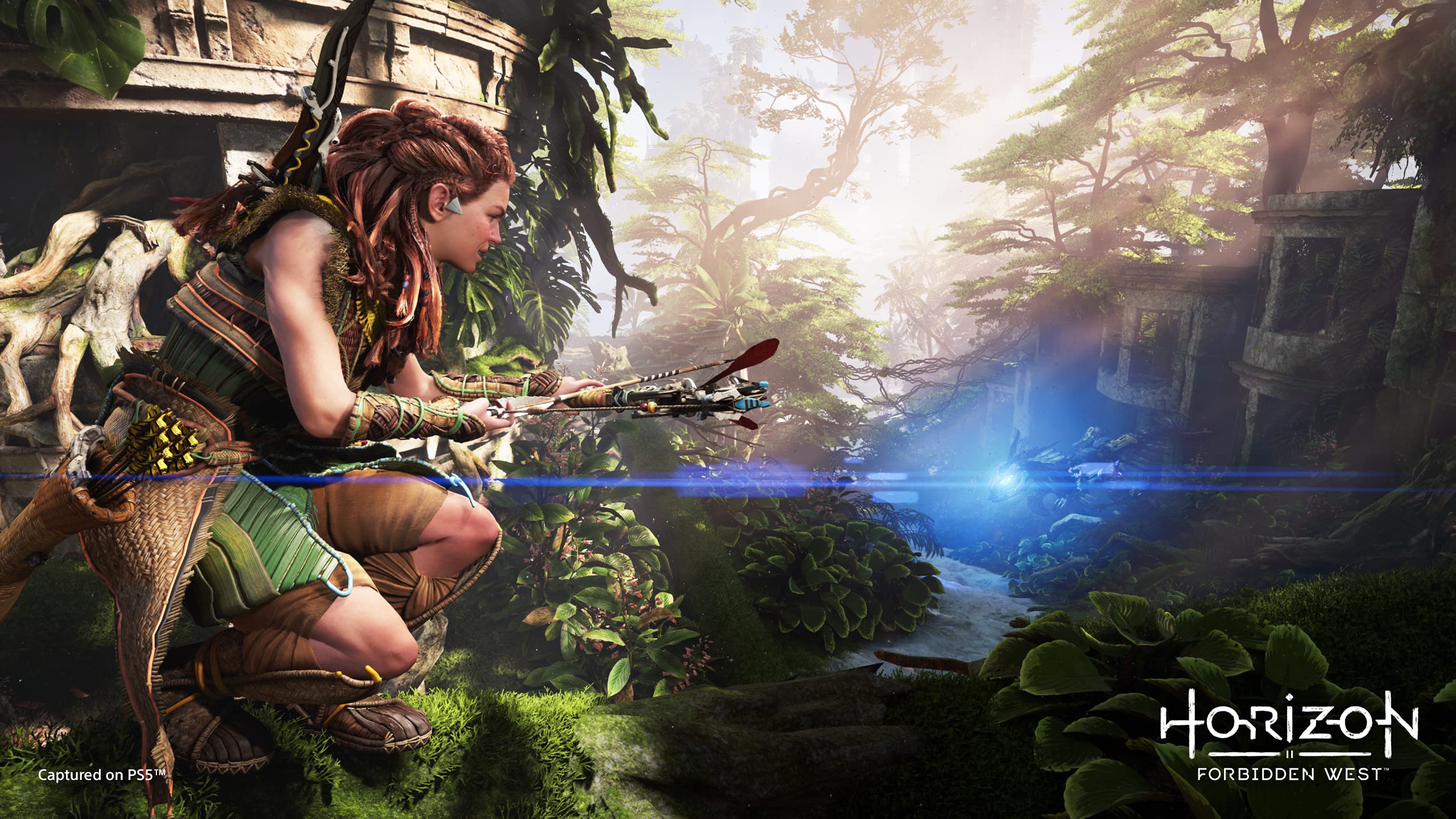 Playstation Horizon Forbidden West (Ps5)