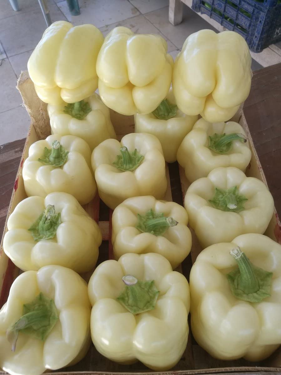 Erdem Garden Doğal Beyaz Dolma Biberi Tohumu 100 Ad. Tohum