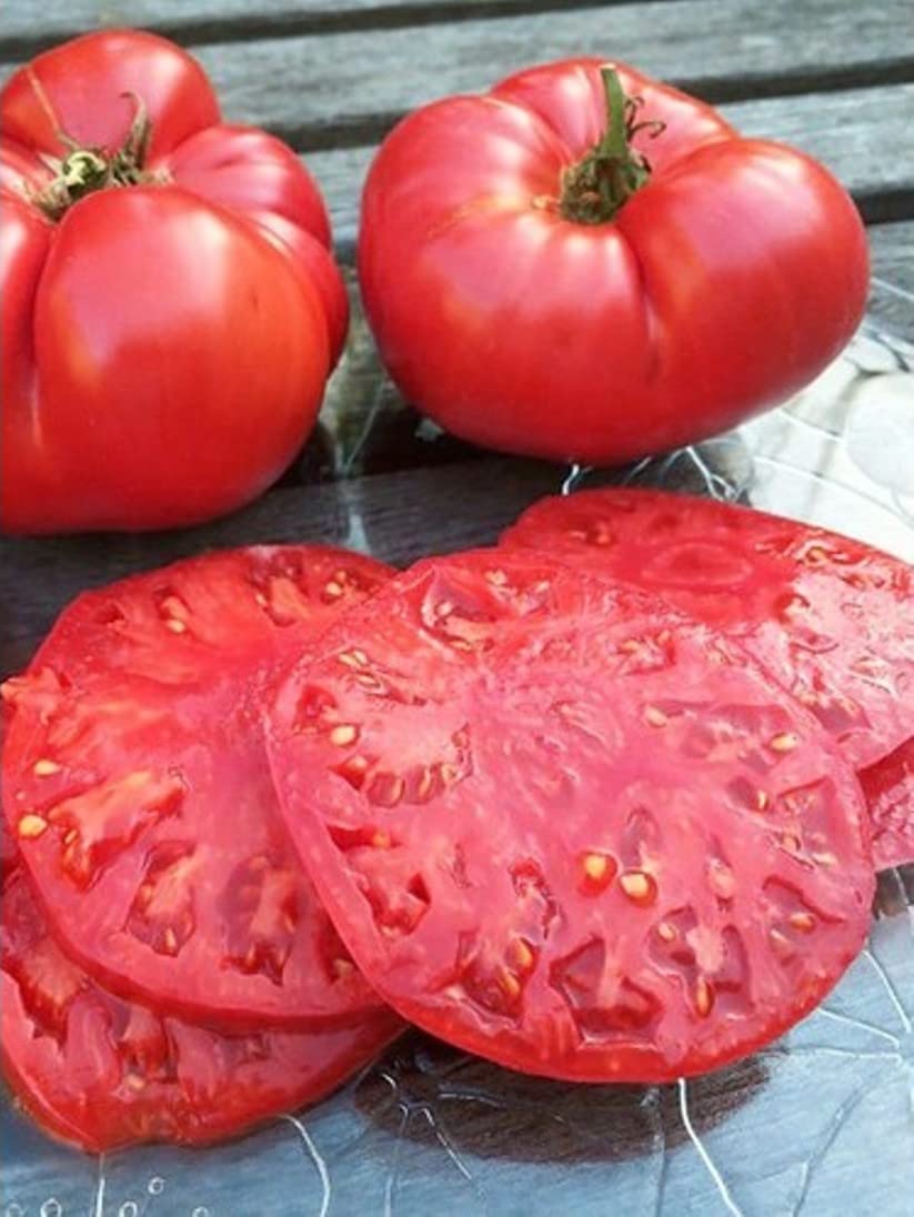 Erdem Garden Doğal İri Meşhur Nergele Domatesi Tohumu 100 Ad. Tohum