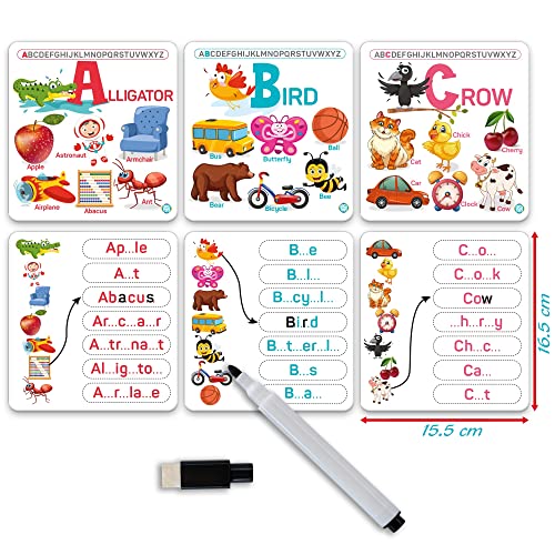 Circle Toys English Alphabet