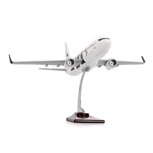 Zek Upp Zekupp - Maket Uçak Boeing 737-800 1/100 - SİYAH BEYAZ TARAFTAR, Özel Tasarım Model Uçak (ZU