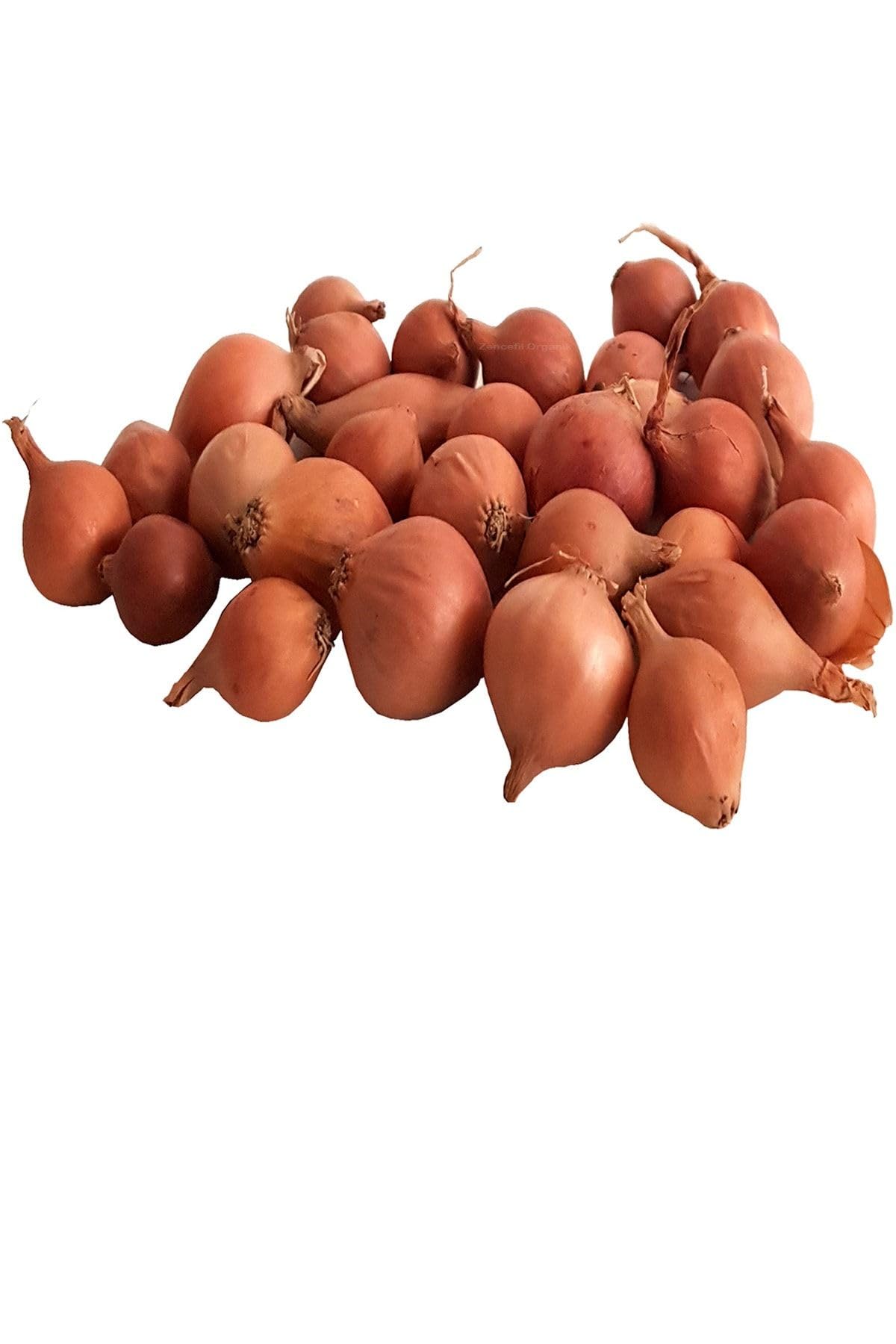 Zencefil Organik 6 Paket Tohum No19 Kıska 1 Kg. Arpacık Soğan Maydanoz Roka Kuzukulağı Tohumu Dereotu Nane Tohumu