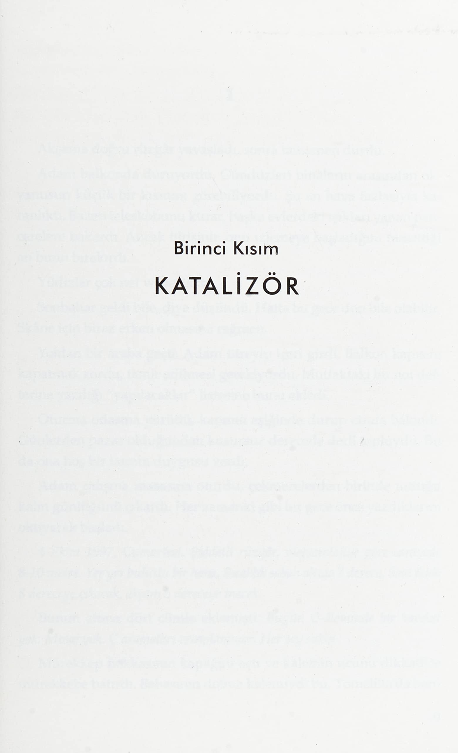 Güvenlik Duvarı - Kurt Wallander Serisi 08: Bir Kuzey Polisiyesi