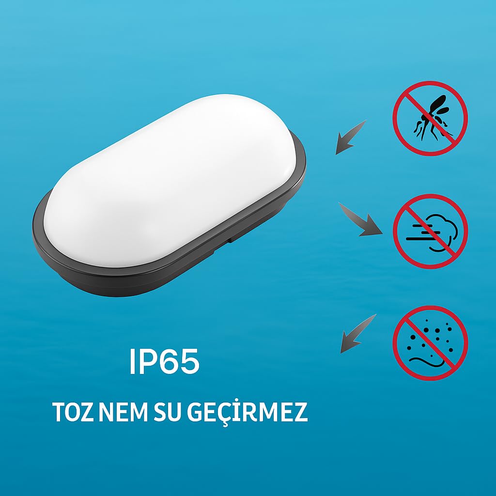Aydos 20W IP65 Oval Siyah LED Tavan ve Duvar Lambası | 6500K Beyaz Işık | Su Geçirmez Banyo Bahçe Aydınlatma Armatürü | 2000 Lümen | 270x147x78mm (220V)