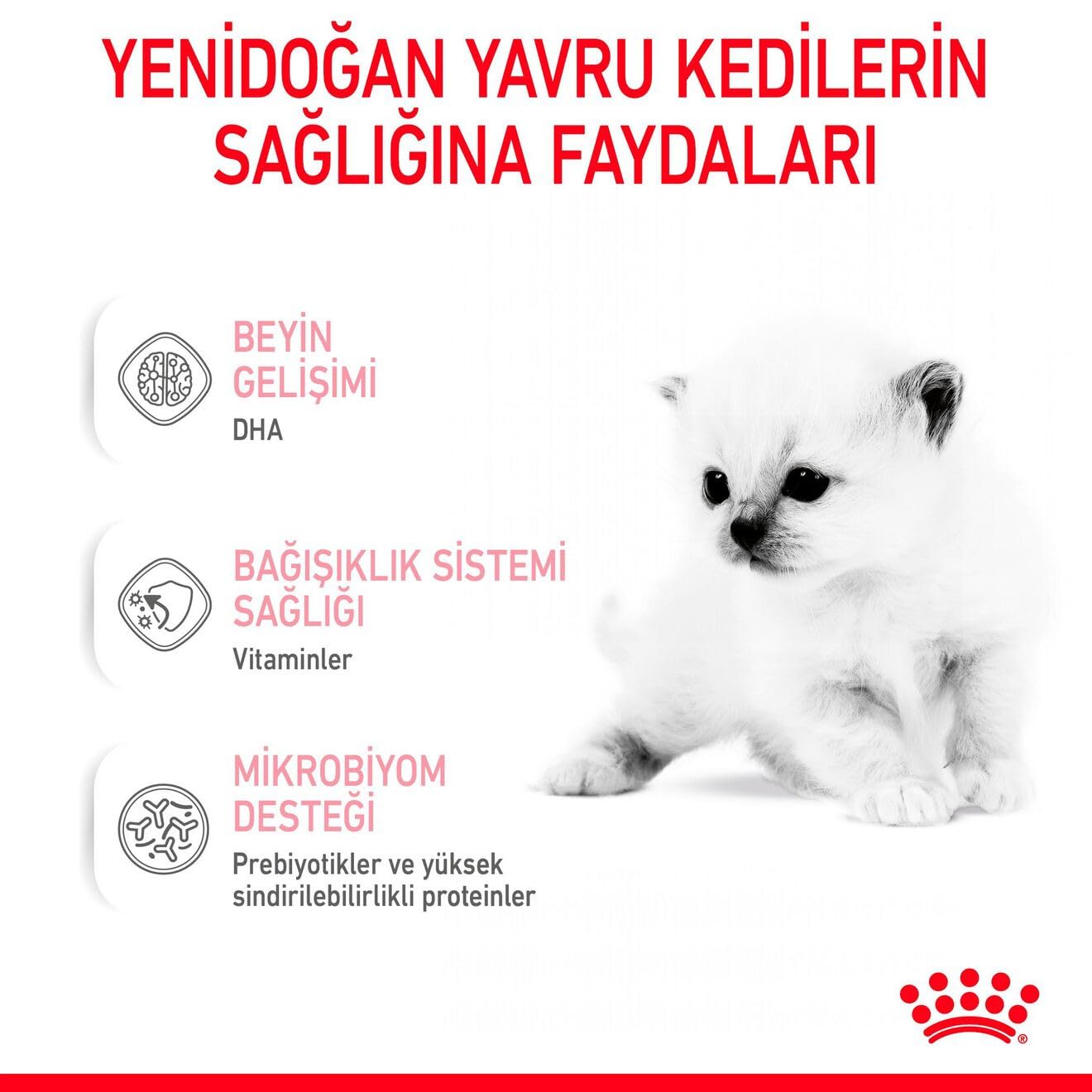 Royal Canin Babycat Milk Yavru Kedi Süt Tozu 300gr