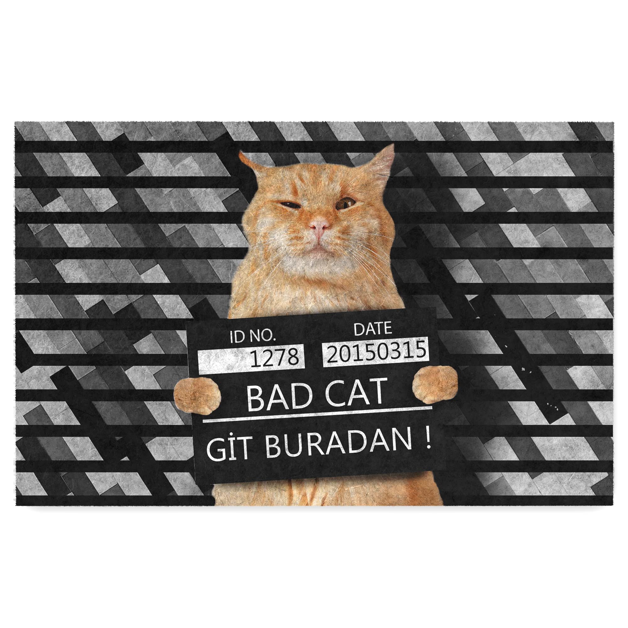 Monnhein Kedi Köpek Komik Tasarımlı Dekoratif Kapı önü Paspas, Dış Mekan/Ev İçi/Banyo/Mutfak/Yatak O