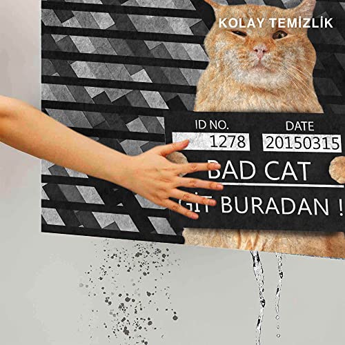 Monnhein Kedi Köpek Komik Tasarımlı Dekoratif Kapı önü Paspas, Dış Mekan/Ev İçi/Banyo/Mutfak/Yatak O