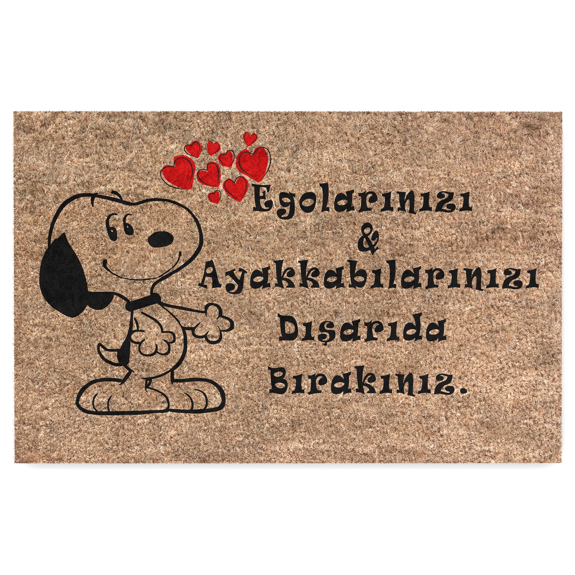 Monnhein Kedi Köpek Komik Tasarımlı Dekoratif Kapı önü Paspas, Dış Mekan/Ev İçi/Banyo/Mutfak/Yatak Odası/Giriş Paspasları (Snoopy, 40x60)