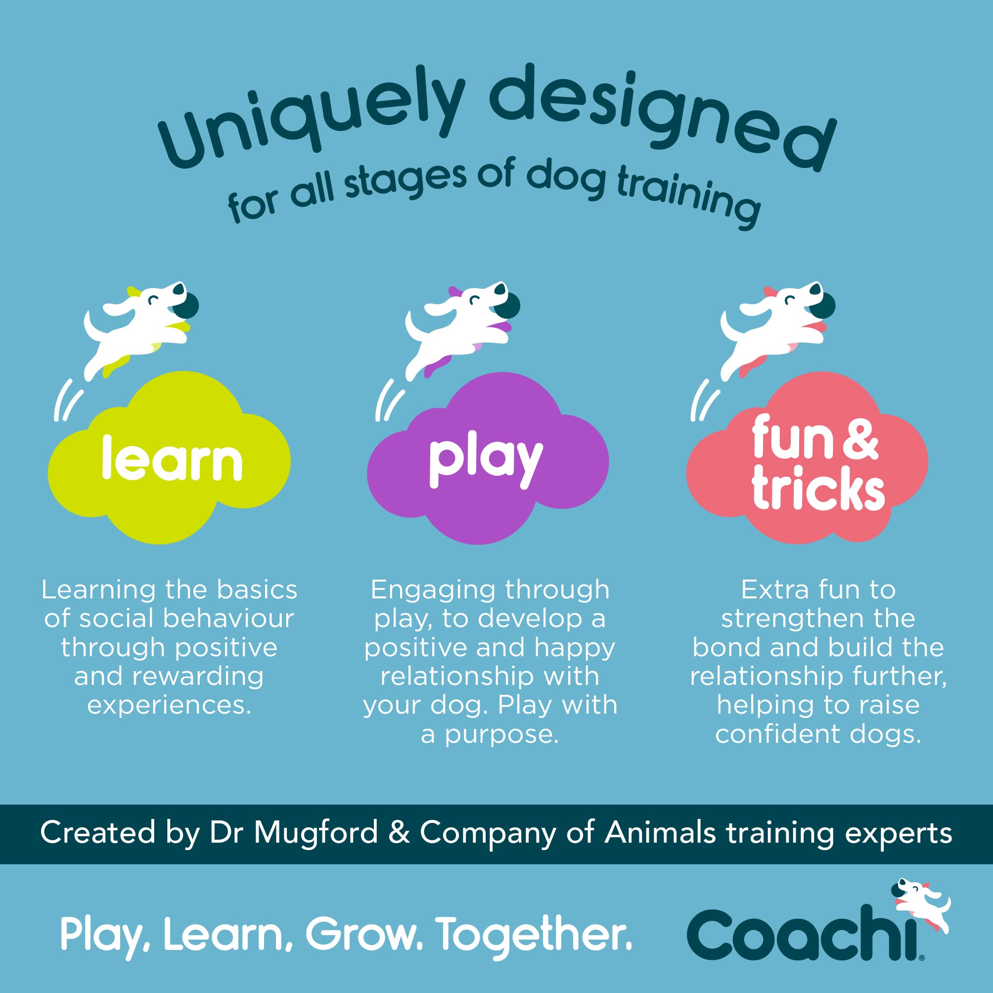 Company of Animals Coachi Training Dumbbell, yüzer, geniş atma, klasik alım oyuncağı, av köpeği ve köpek yavrusu eğitimi. Köpek aksesuarı, çok sağlam ve dayanıklı, küçük köpekler ve yavru köpekler için
