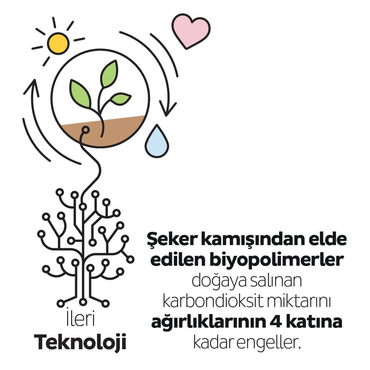 Sleepy Bio Natural Premium Plus Günlük Ped Normal 40 Adet Ped