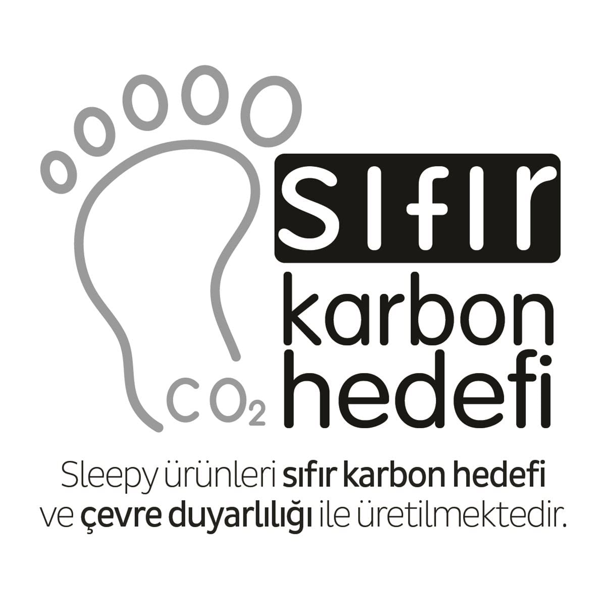 Sleepy Bio Natural Premium Plus Günlük Ped Normal 40 Adet Ped