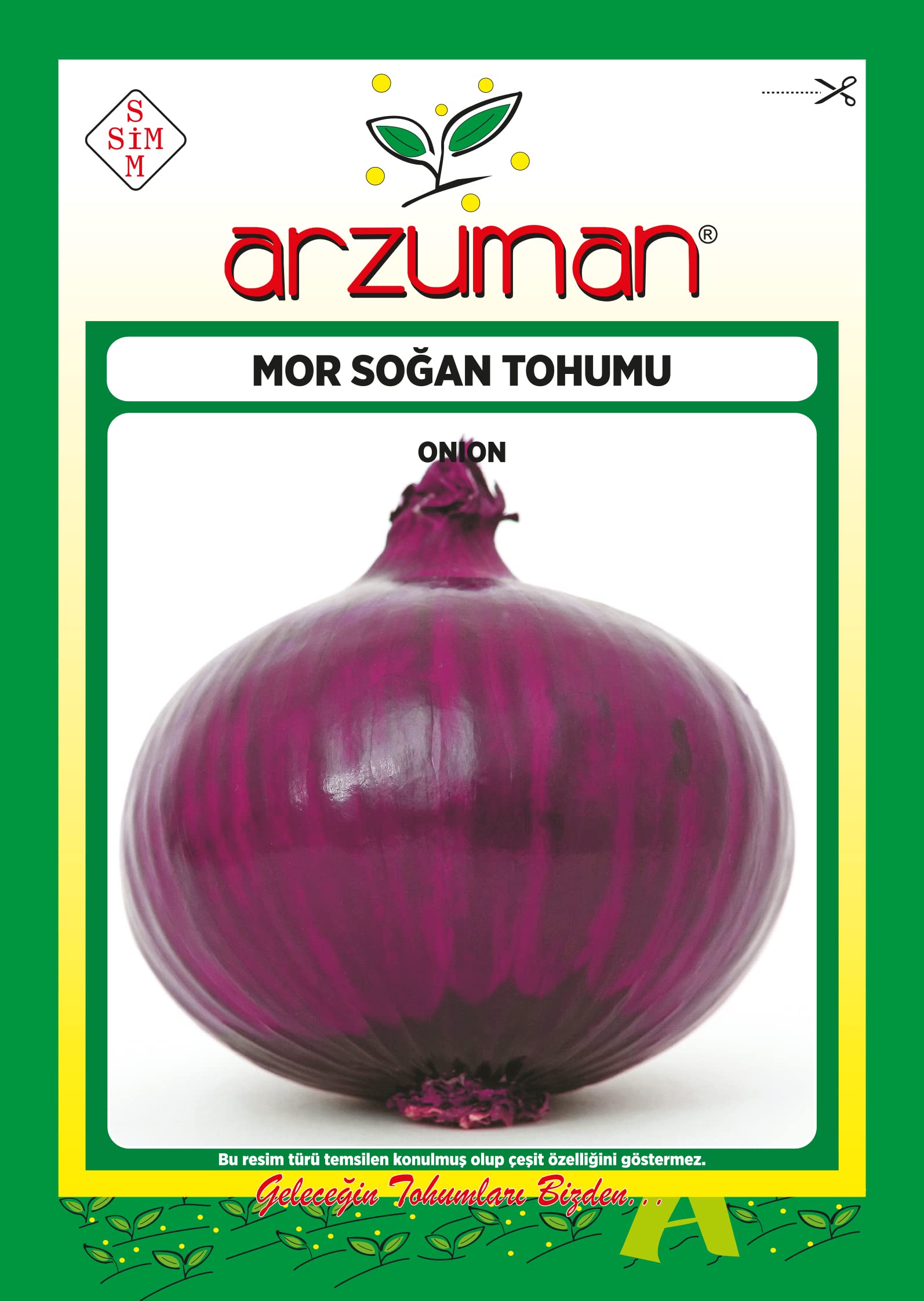 Arzuman Mor Soğan Tohumu, 5gr