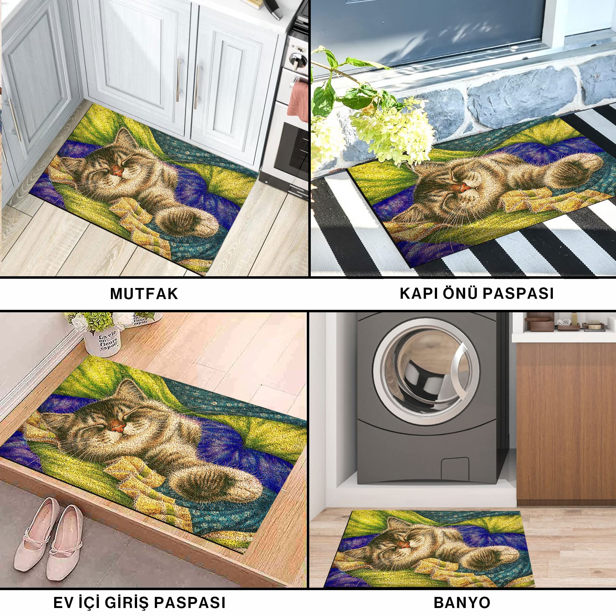 Monnhein Tasarımlı Dekoratif Kapı önü Paspas, Dış Mekan/Ev İçi/Banyo/Mutfak/Yatak Odası/Giriş Paspasları (Pastel Boyama Cat, 40x60)