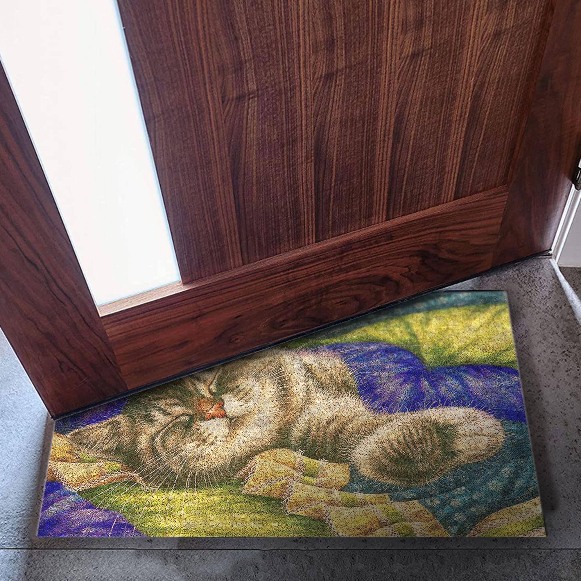 Monnhein Tasarımlı Dekoratif Kapı önü Paspas, Dış Mekan/Ev İçi/Banyo/Mutfak/Yatak Odası/Giriş Paspasları (Pastel Boyama Cat, 40x60)