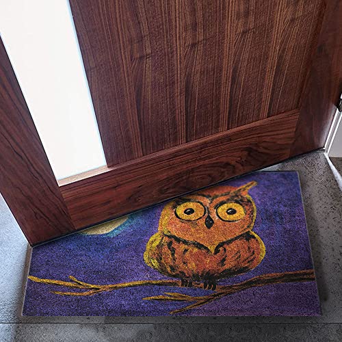Monnhein Tasarımlı Dekoratif Kapı önü Paspas, Dış Mekan/Ev İçi/Banyo/Mutfak/Yatak Odası/Giriş Paspasları (Gece Baykuş, 40x60)