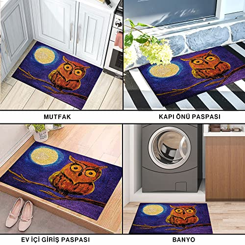 Monnhein Tasarımlı Dekoratif Kapı önü Paspas, Dış Mekan/Ev İçi/Banyo/Mutfak/Yatak Odası/Giriş Paspasları (Gece Baykuş, 40x60)
