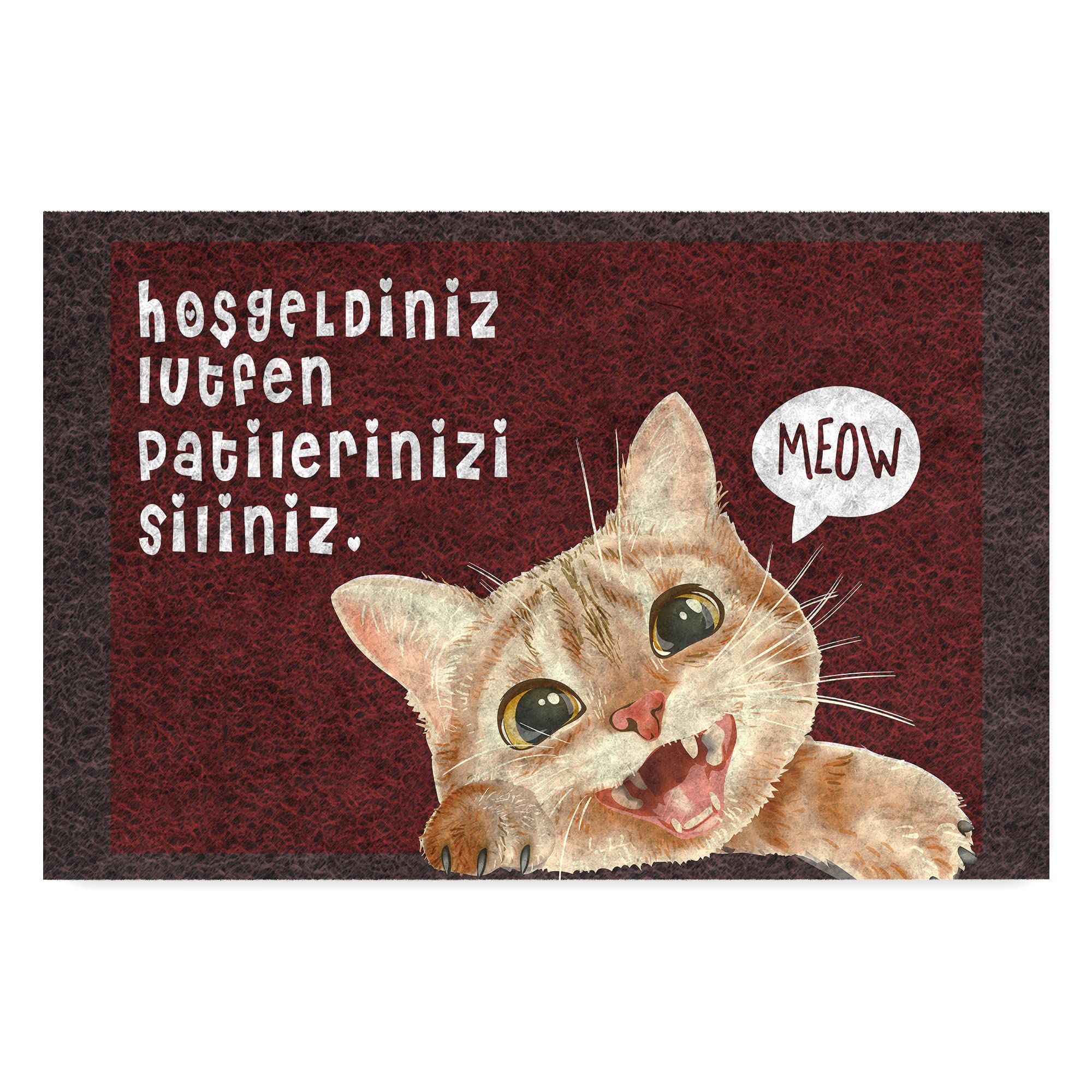 Monnhein Tasarımlı Dekoratif Kapı önü Paspas, Dış Mekan/Ev İçi/Banyo/Mutfak/Yatak Odası/Giriş Paspasları (Patilerinizi Siliniz, 45X70)