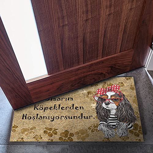 Monnhein Tasarımlı Dekoratif Kapı önü Paspas, Dış Mekan/Ev İçi/Banyo/Mutfak/Yatak Odası/Giriş Paspas