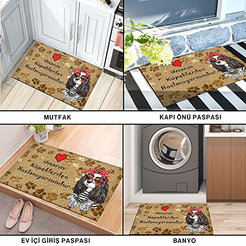 Monnhein Tasarımlı Dekoratif Kapı önü Paspas, Dış Mekan/Ev İçi/Banyo/Mutfak/Yatak Odası/Giriş Paspas