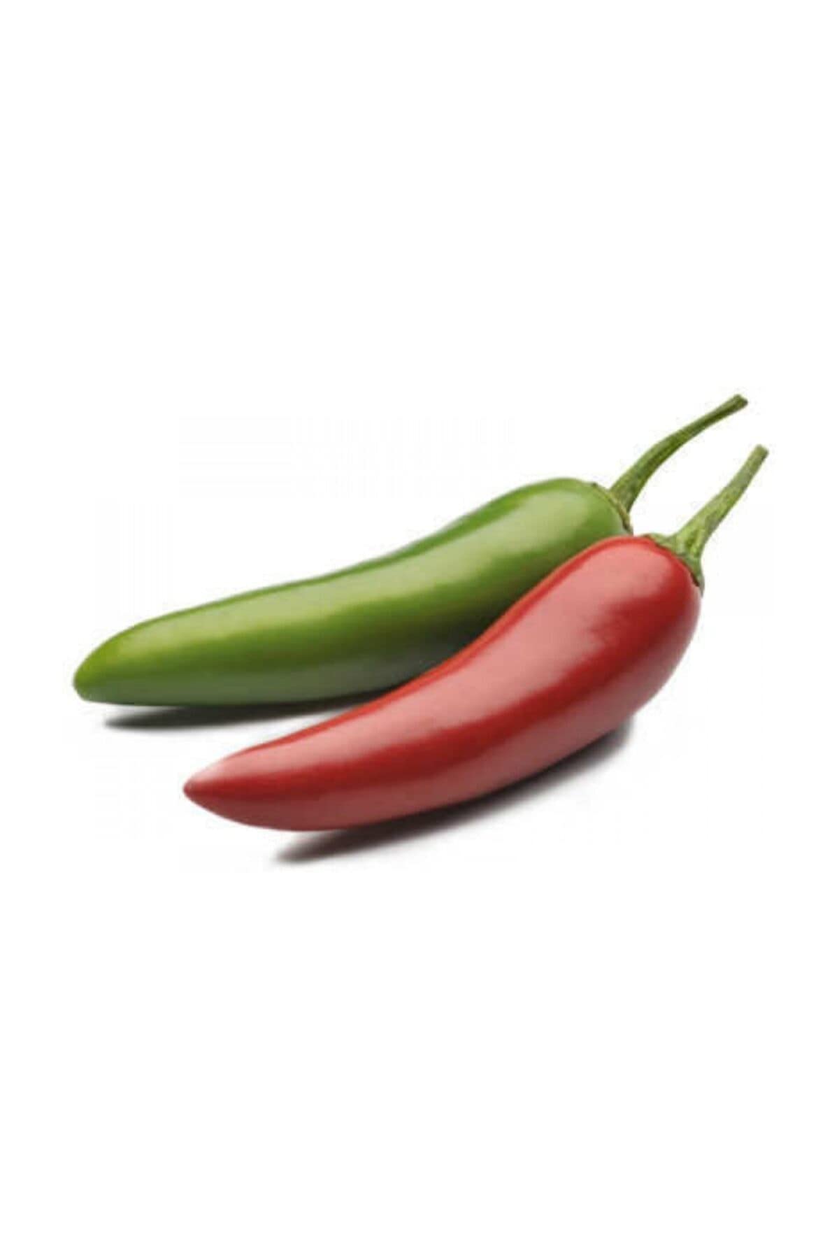 Eko Paket 50 Adet Tohum Nadir İthal Acı Jalapeno Meksika Biberi Tohumu