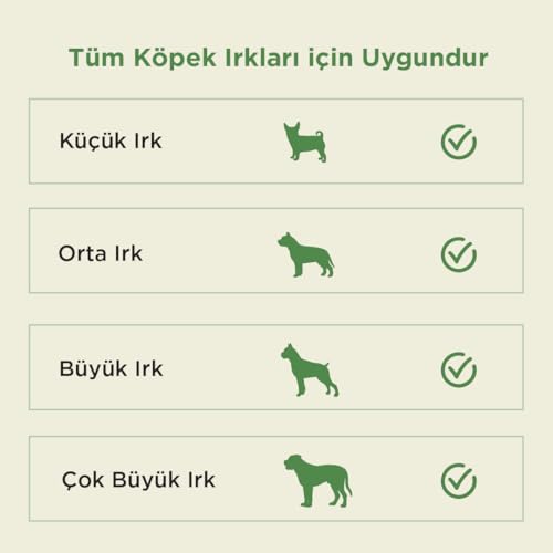 Kito Dana Gırtlak Çiğnemelik Köpek Ödül Maması%100 Doğal, Glutensiz, Organik 100 gr (Dog Treat)