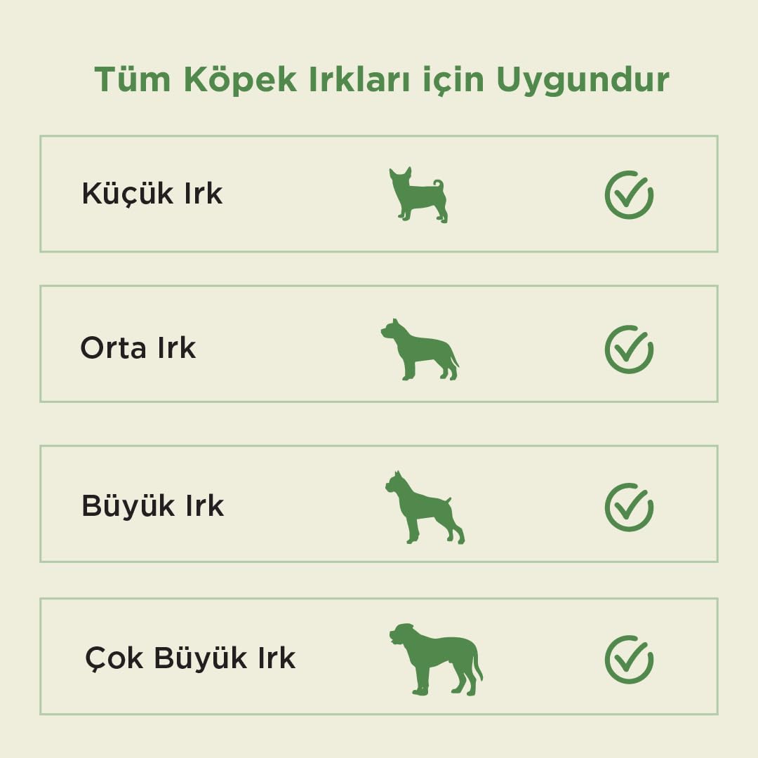 Kito Dana Gırtlak Çiğnemelik Köpek Ödül Maması%100 Doğal, Glutensiz, Organik 100 gr (Dog Treat)