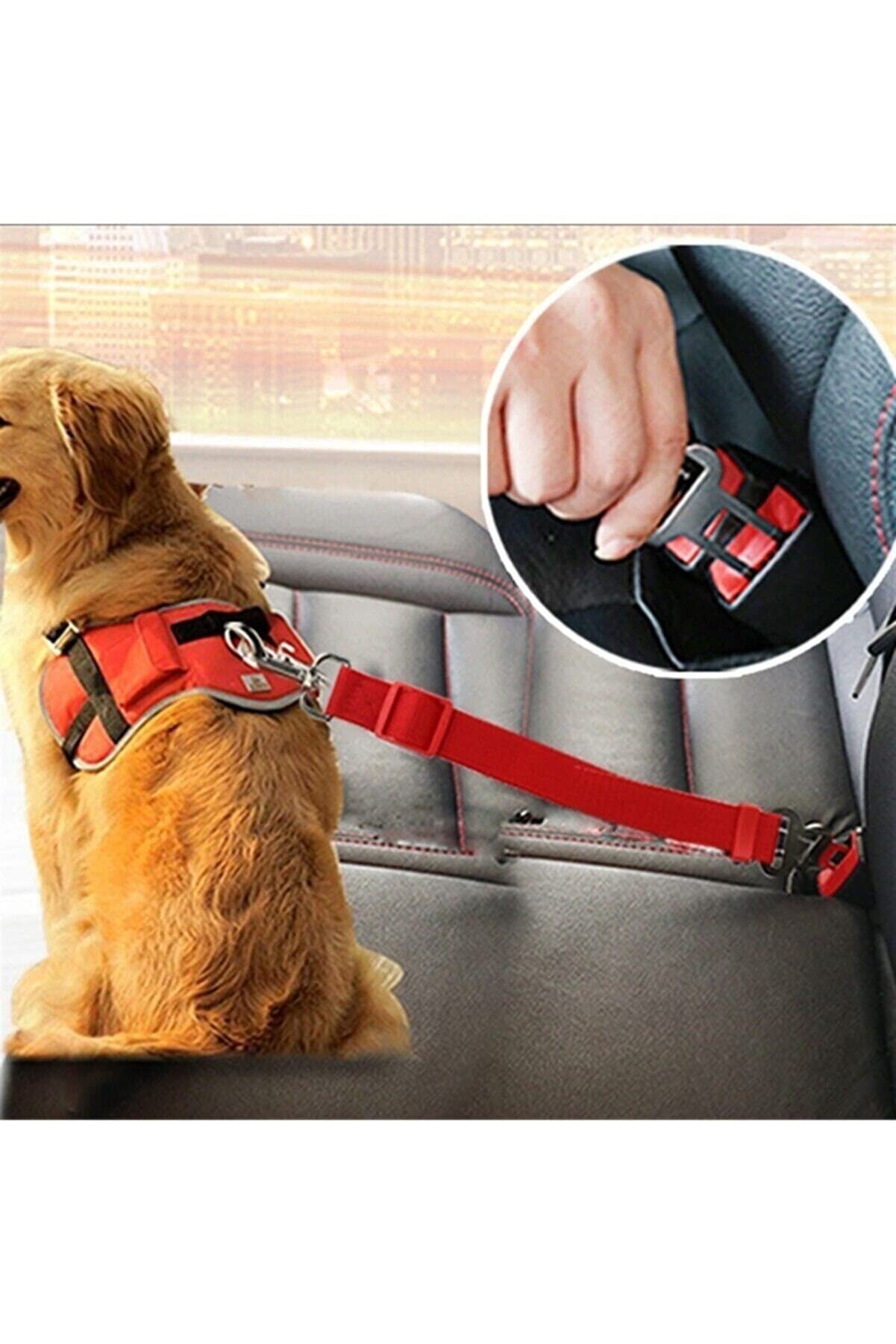 TİNEKE Evcil Hayvan Araç Emniyet Kemeri Kedi Köpek Araba Oto Tasması Oto Aksesuarları (KIRMIZI)