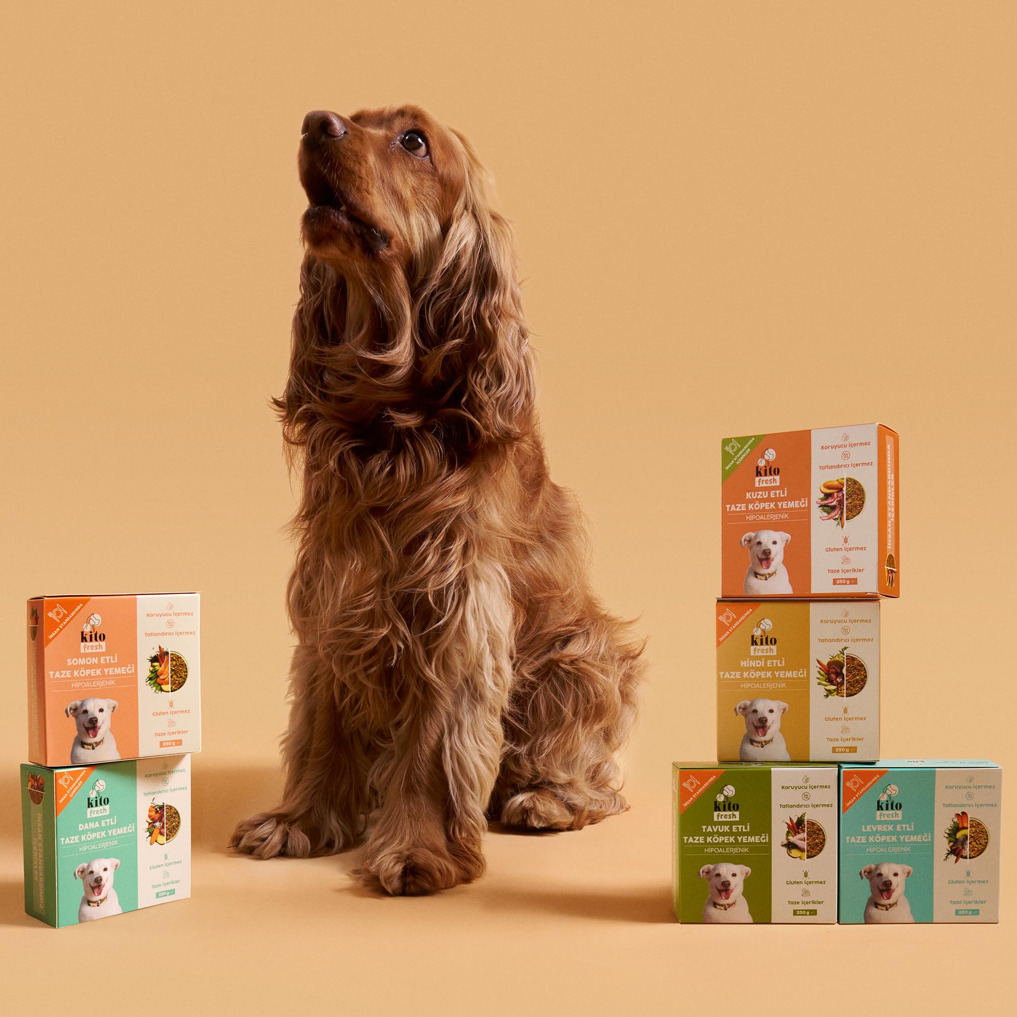 Kito Fresh Dana Etli Köpek Yemeği%100 Taze İçerikli Mama 250 gr