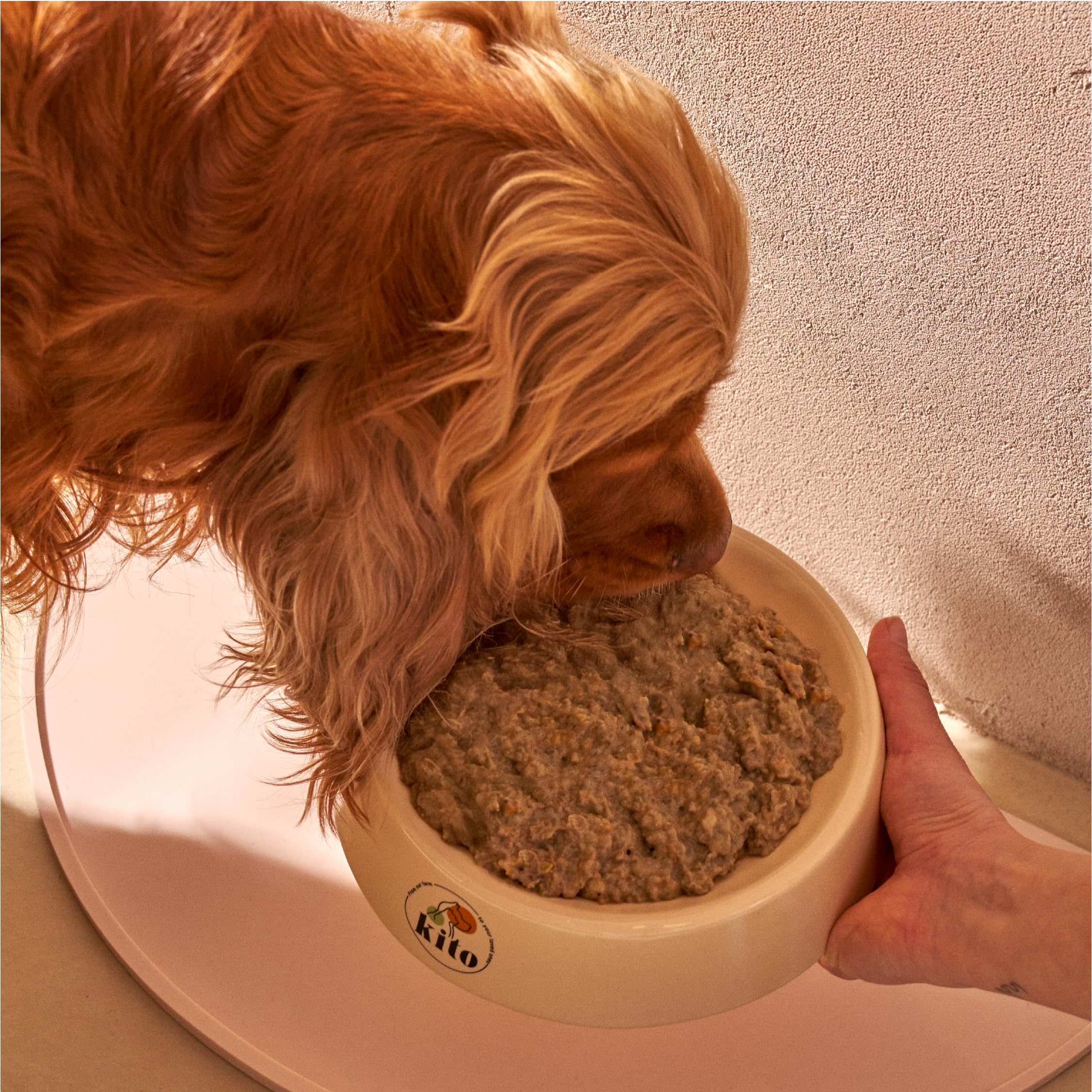 Kito Fresh Dana Etli Köpek Yemeği%100 Taze İçerikli Mama 250 gr