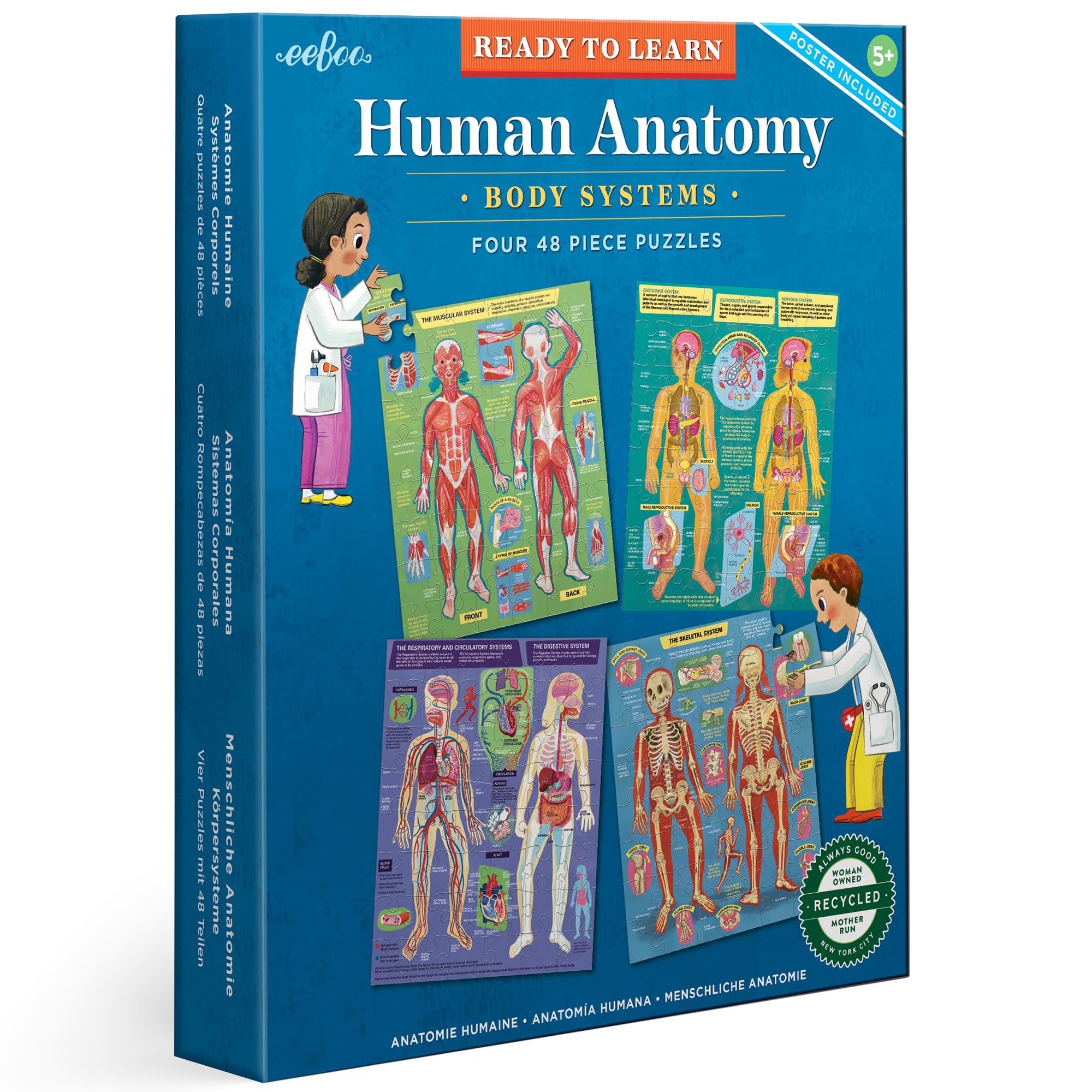 eeBoo: Öğrenmeye Hazır: İnsan Anatomisi 4 Bulmaca - Vücut Sistemleri 4-48 Parça Yapboz Seti, Eğitim Posteri Dahil, 8 Yaş ve Üzeri Çocuklar