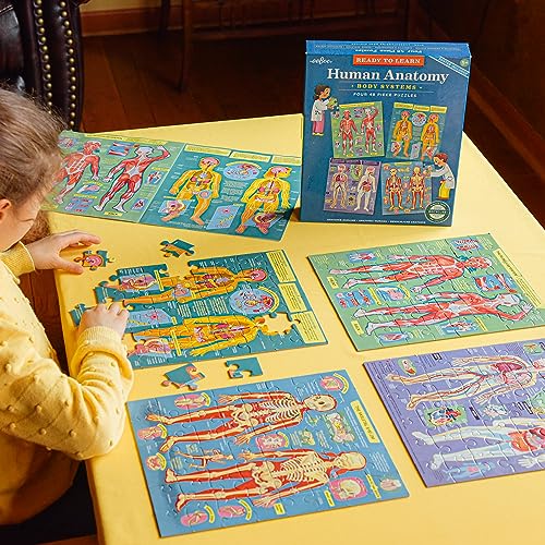 eeBoo: Öğrenmeye Hazır: İnsan Anatomisi 4 Bulmaca - Vücut Sistemleri 4-48 Parça Yapboz Seti, Eğitim Posteri Dahil, 8 Yaş ve Üzeri Çocuklar