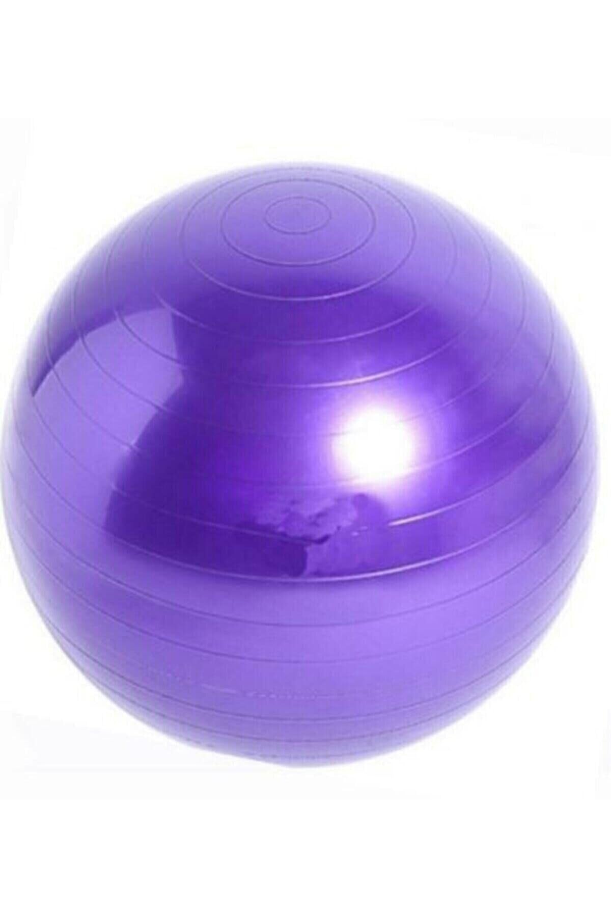 CKSpor 20 cm mini pilates topu jimnastik yoga plates egzersiz topu Mor
