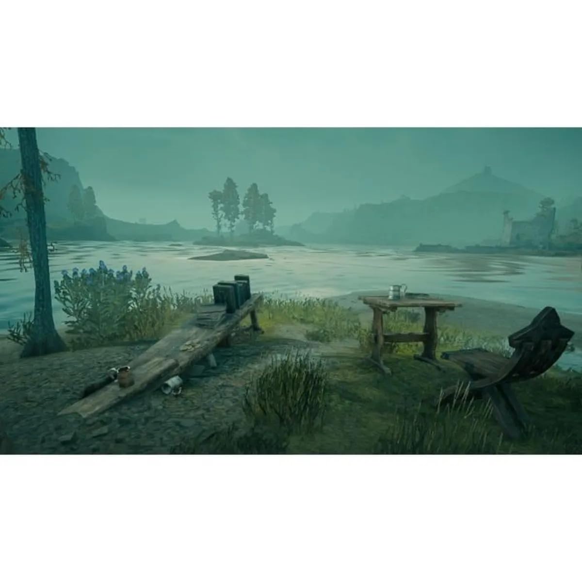 Hogwarts Legacy: Hogwarts Mirası, Nintendo Switch