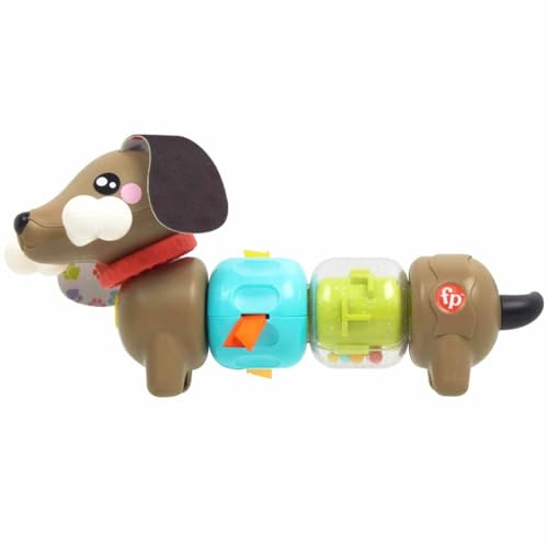 Fisher-Price Köpekçikle Eğlenceli Aktiviteler Bebeklerin duyularını ve ince motor becerilerini geliştirmeye yardımcı Fisher-Price FP Pets Hareketli Köpekçik HTW91