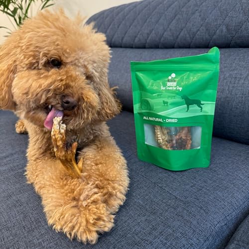 Kito Horoz Ayak Çiğnemelik Köpek Ödül Maması%100 Doğal, Glutensiz, Organik 100 gr (Dog Treat)