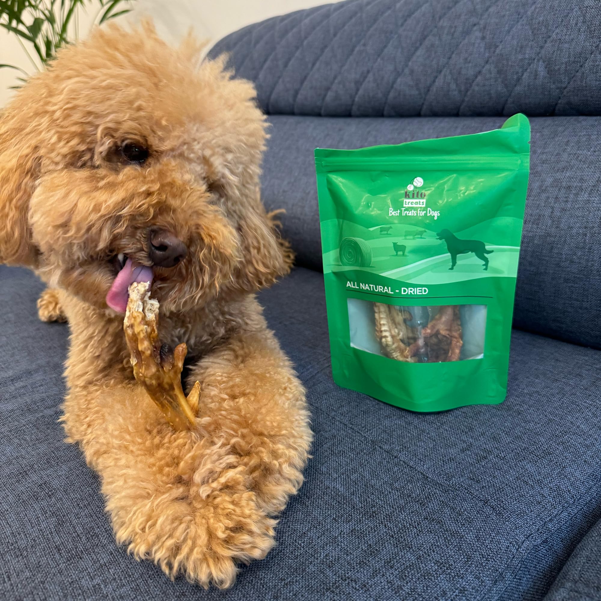 Kito Horoz Ayak Çiğnemelik Köpek Ödül Maması%100 Doğal, Glutensiz, Organik 100 gr (Dog Treat)