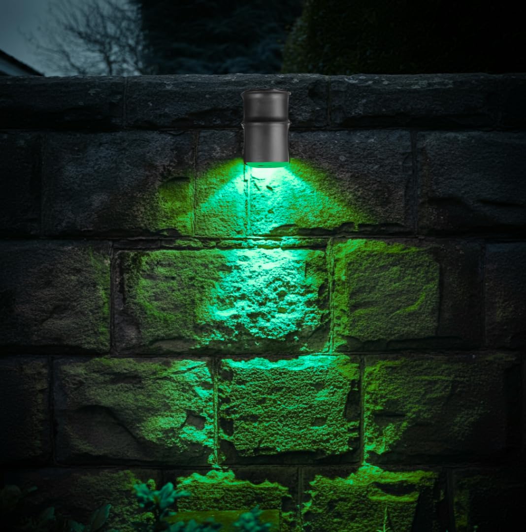 Ucuz Geldi Tekli Çağlayan Aplik IP54 Dış Mekan Zita Bahçe Aydınlatma Duvar Apliği + Gu10 Led Ampul (Yeşil)