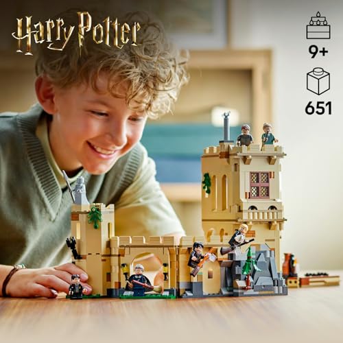LEGO Harry Potter Hogwarts Şatosu: Uçuş Dersleri 76447-9 Yaş ve Üzeri Çocuklar ve Yetişkinler için Koleksiyonluk Oyuncak Yapım Seti, Doğum Günü Hediyesi (651 Parça)