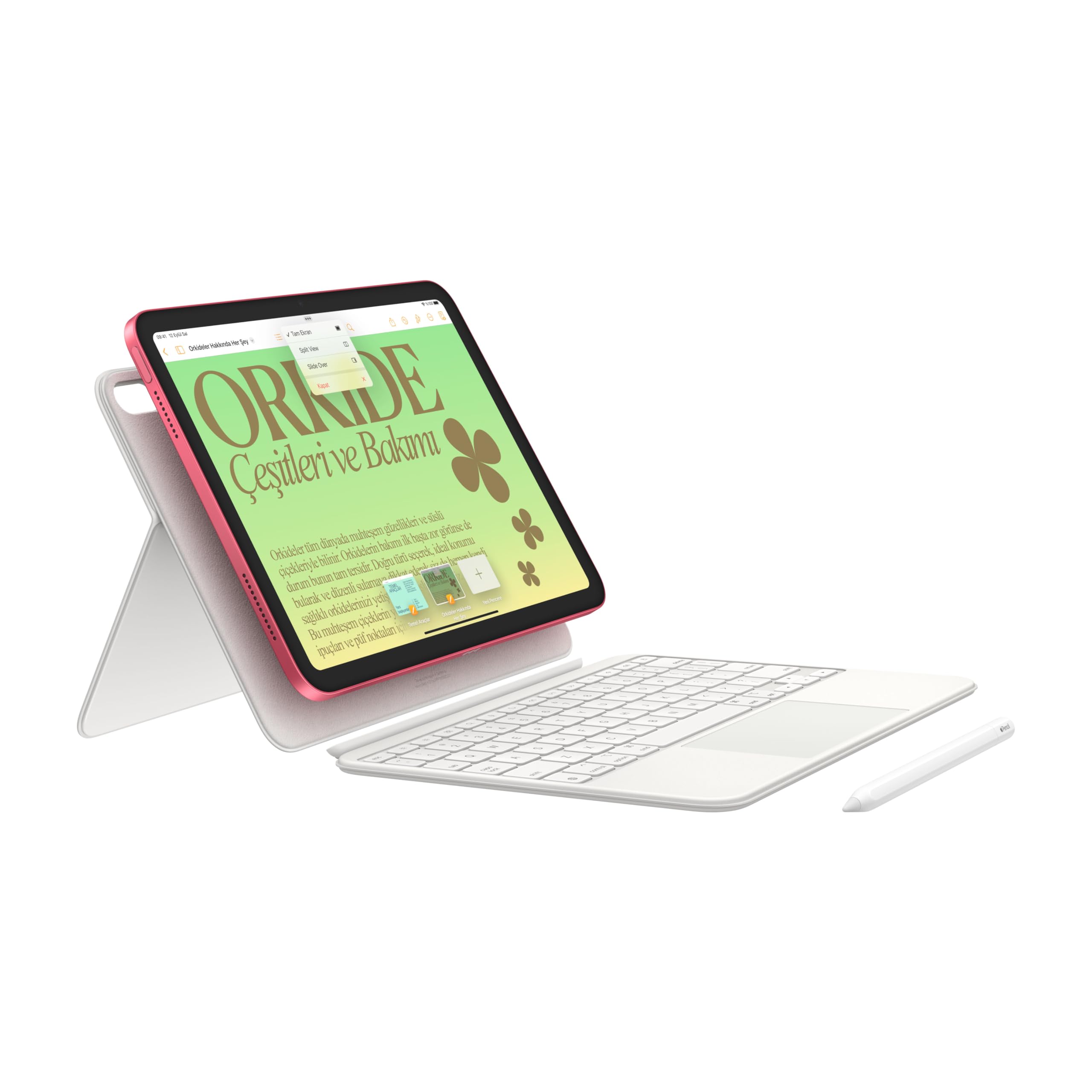 Apple 10.9 inç iPad (Wi-Fi, 256 GB) - Gümüş Rengi (10. nesil)