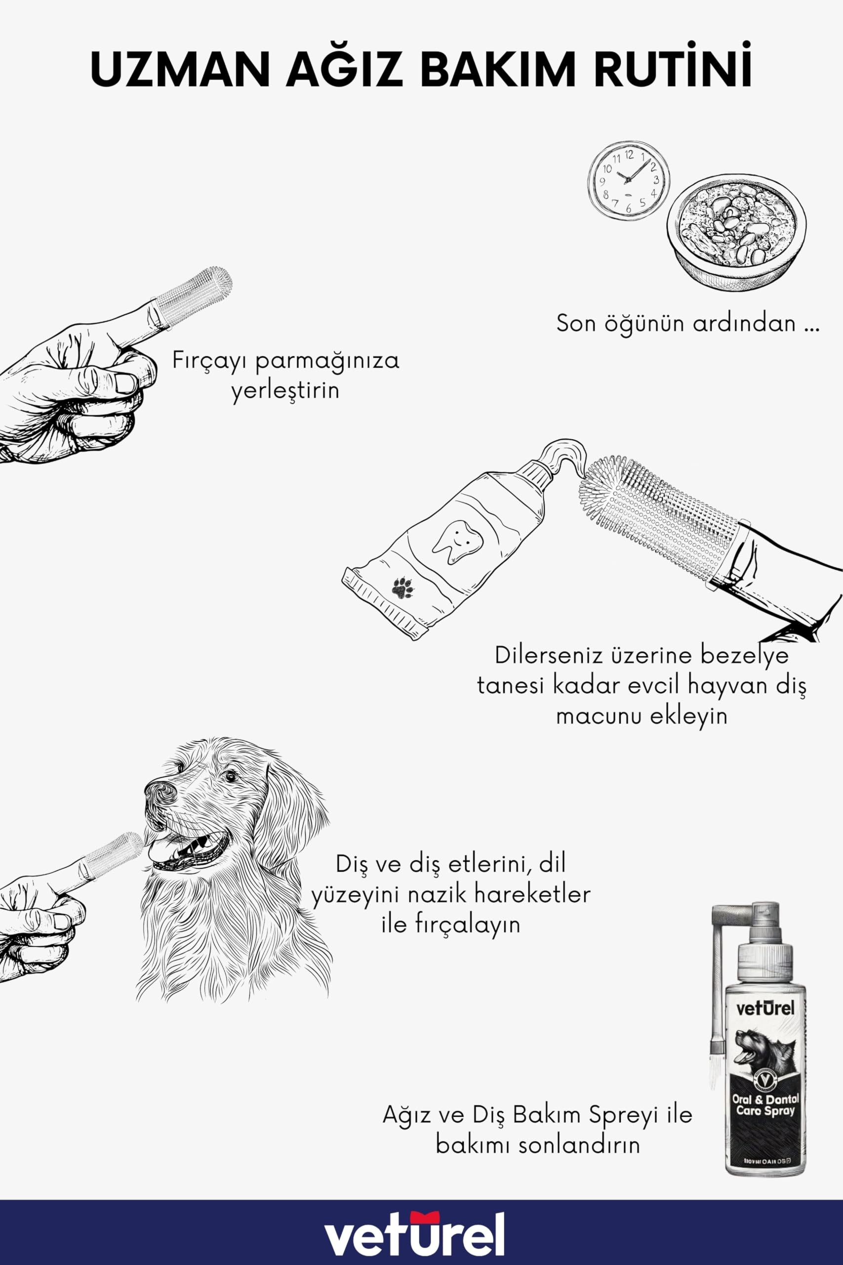 Köpek Diş Fırçası 360 Yumuşak Parmak Fırça Gıda Silikon Fırça Plak Tartar Hijyenik Saklama Kutulu