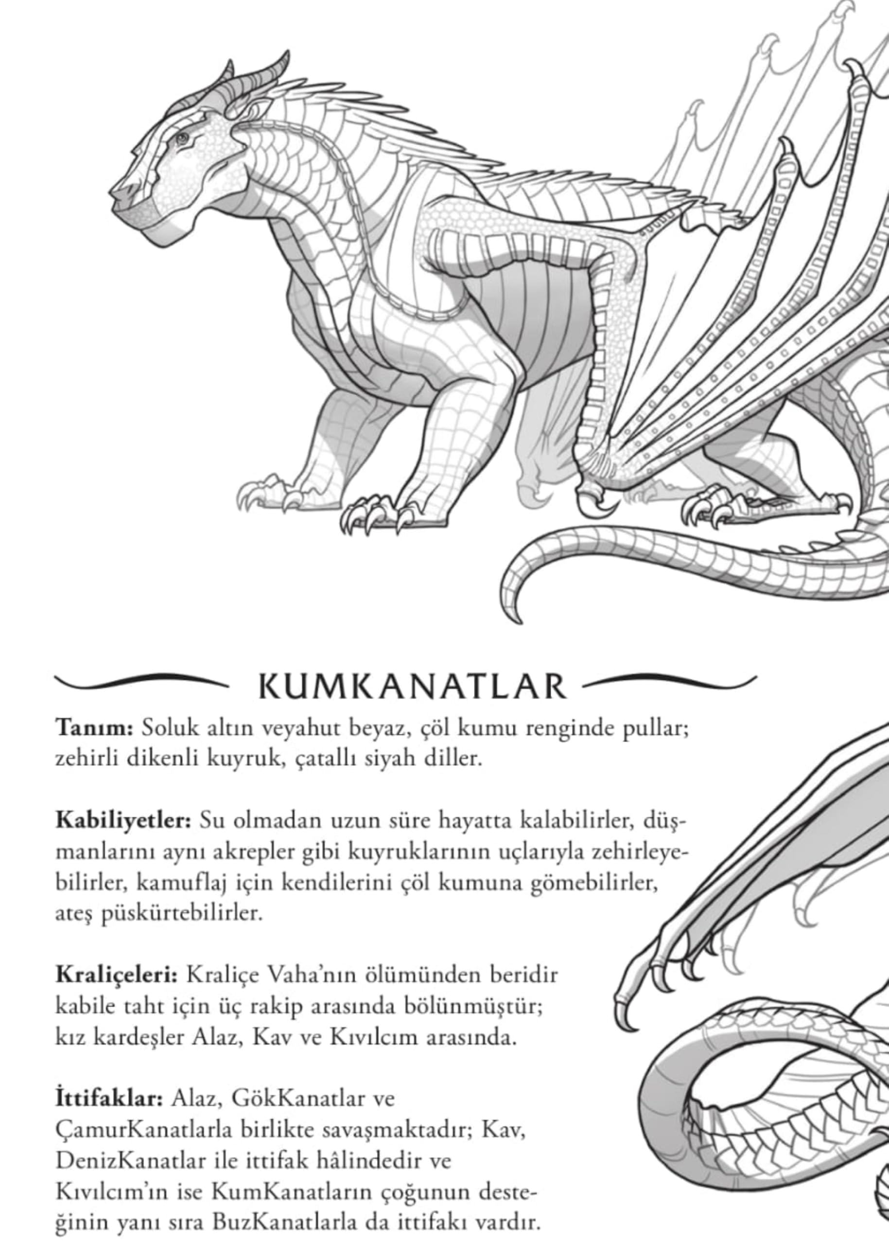 Ateşten Kanatlar Serisi, Tui T. Sutherland, 5 Kitap Set, Ejder Kehaneti