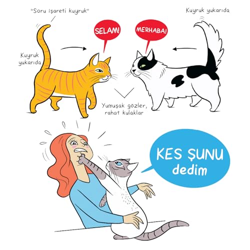 Kedi Dili - Özel Set