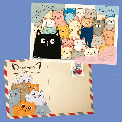 Kedi Dili - Özel Set