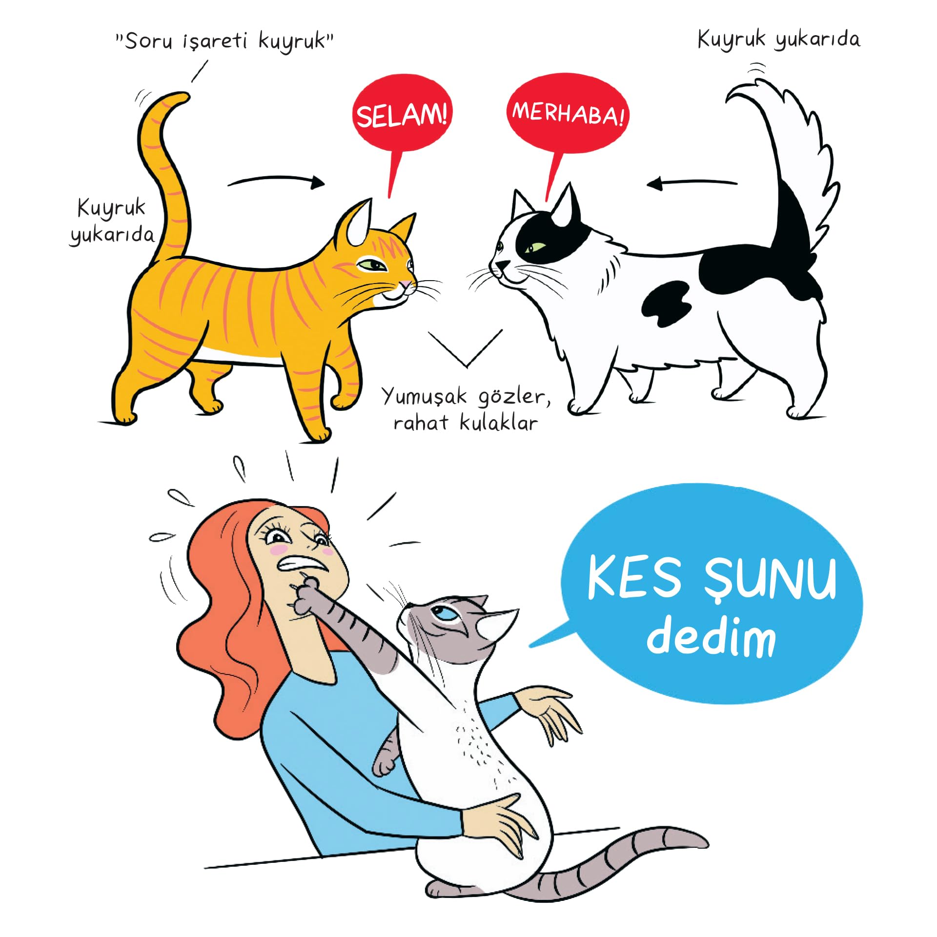 Kedi Dili - Özel Set