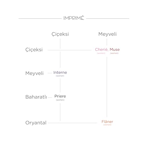 Imprimé Mini Parfüm Kadın Deneme Seti 5 X 2 ml (Muse, Cherie, Priere, Interne ve Flaner)