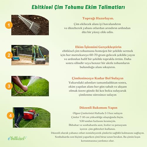 Ebitkisel Çok Yıllık Çim Tohumu 10 Kg Uzun Ömürlü 6'lı Karışım Gölge ve Aşırı Güneşli Alan İçin Uygun Yetiştirilmesi Kolay 4 Mevsim Yeşil
