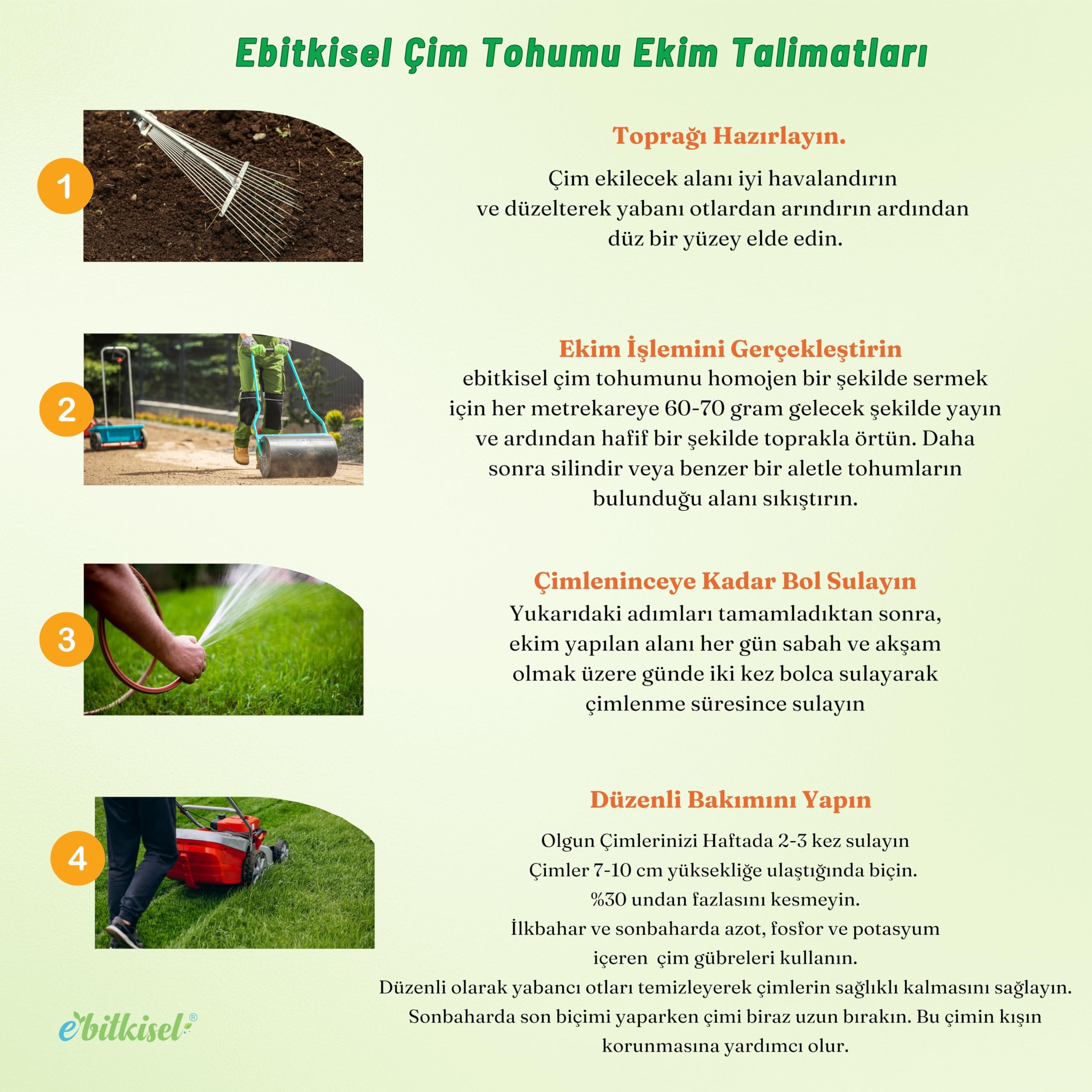 Ebitkisel Çok Yıllık Çim Tohumu 10 Kg Uzun Ömürlü 6'lı Karışım Gölge ve Aşırı Güneşli Alan İçin Uygun Yetiştirilmesi Kolay 4 Mevsim Yeşil