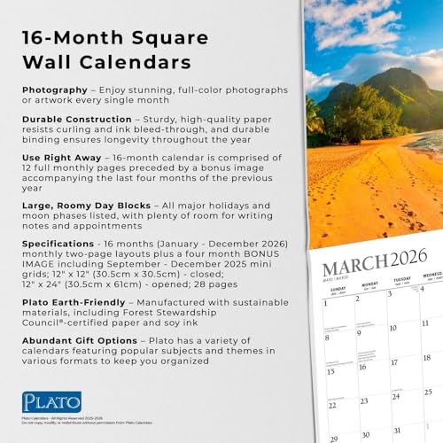Tropical Islands 2026 Square Plato Foil Calendar