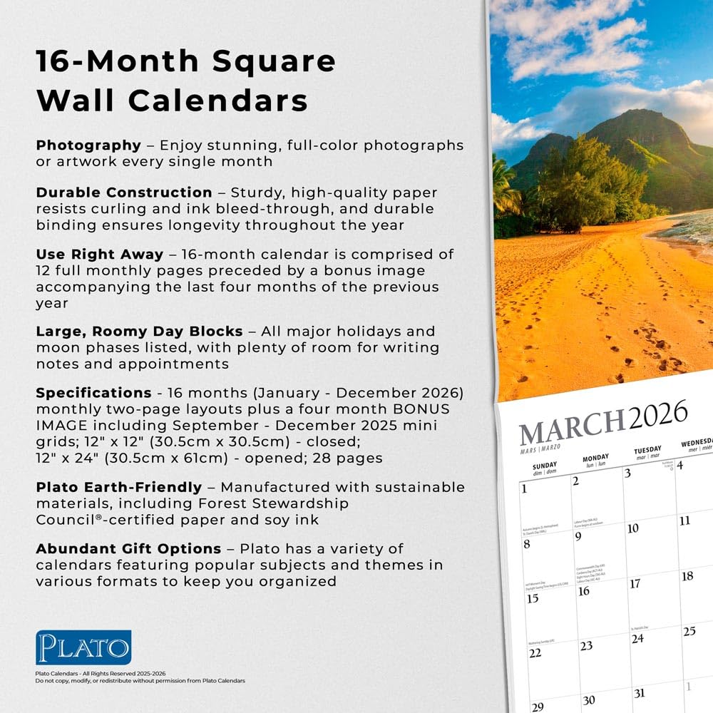 Tropical Islands 2026 Square Plato Foil Calendar
