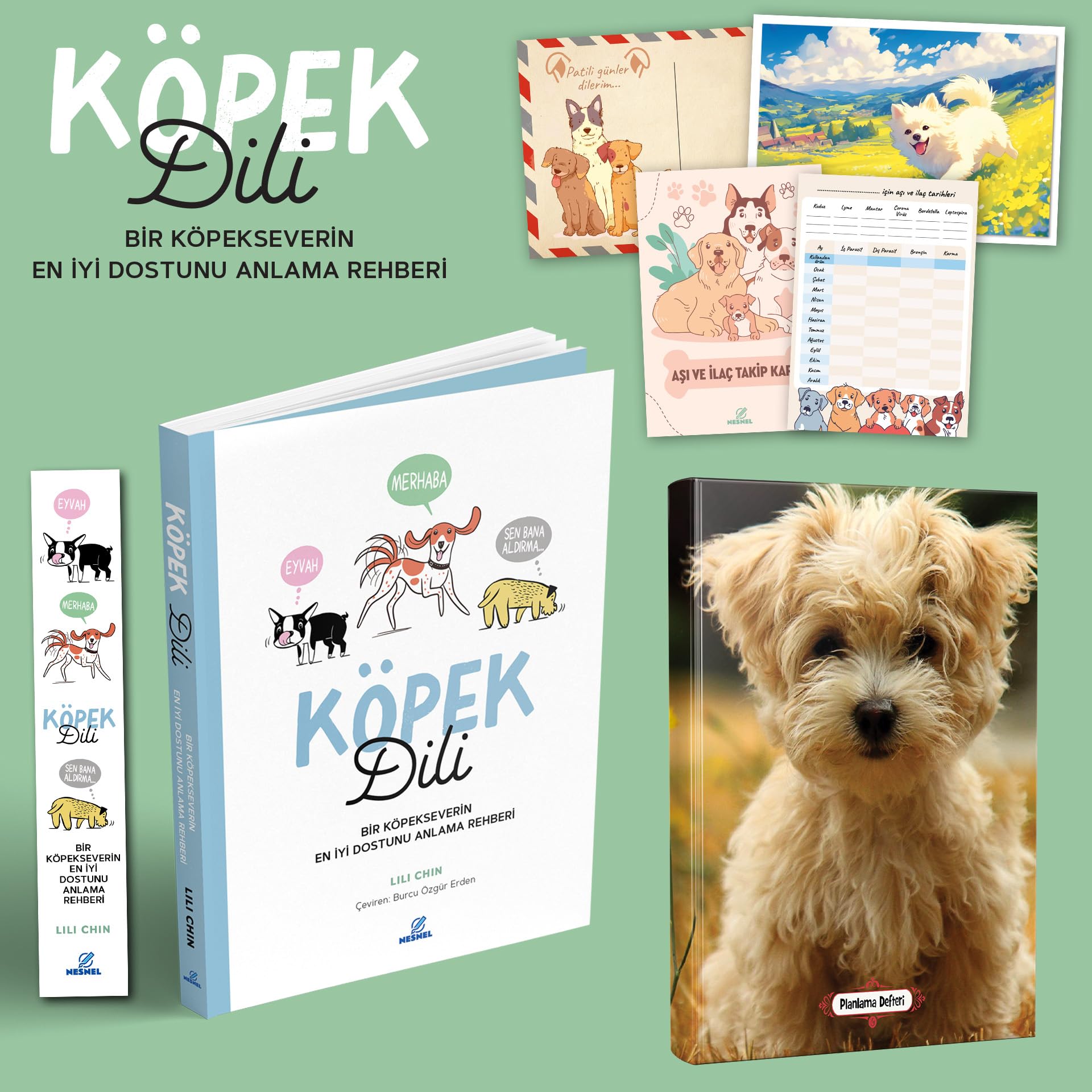 Köpek Dili - Bir Köpekseverin En İyi Dostunu Anlama Rehberi - Kartpostal - Ayraç - Aşı Kartı ve